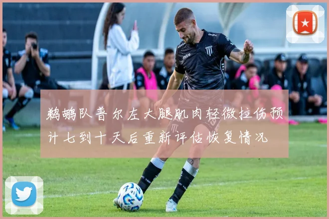 鹈鹕队普尔左大腿肌肉轻微拉伤预计七到十天后重新评估恢复情况